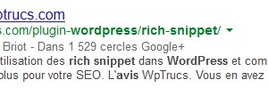 Les Rich Snippets de Google